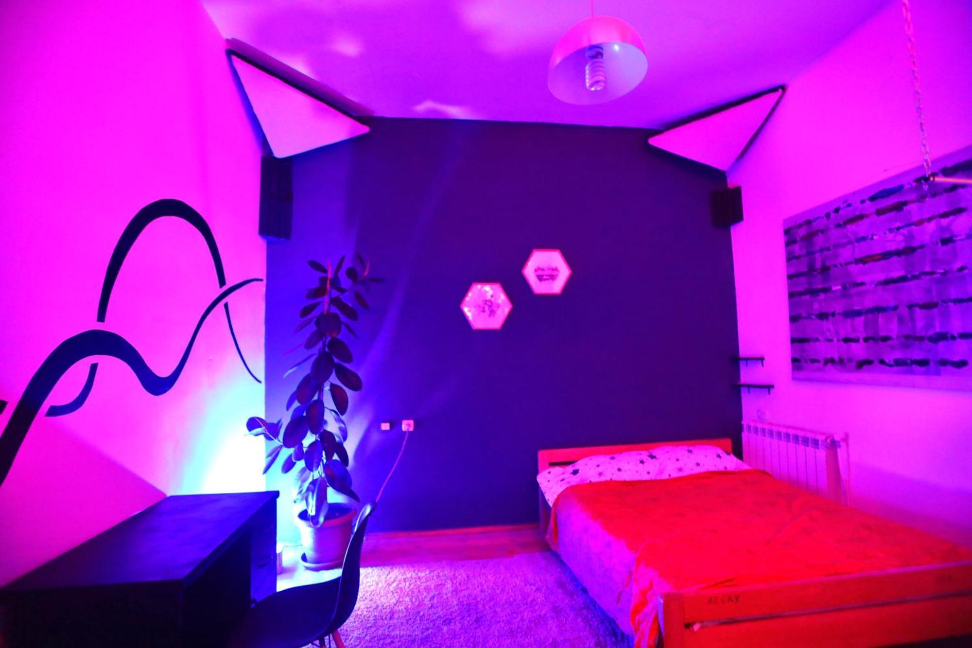 Cosy Studio With Beautiful Garden Ереван Экстерьер фото
